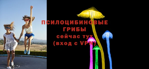 спиды Каменка