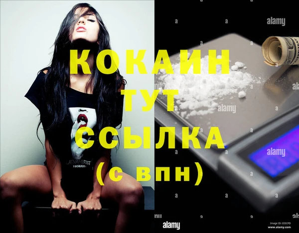 спиды Каменка
