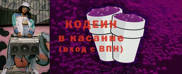 спиды Каменка
