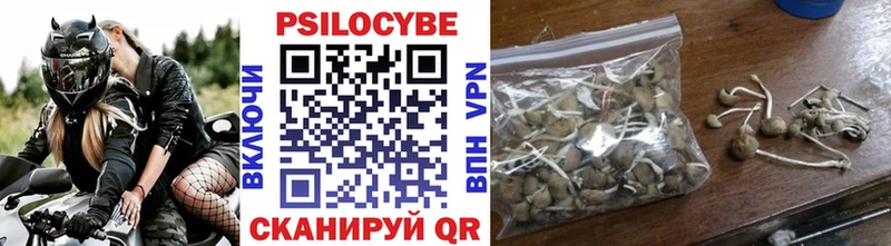 Псилоцибиновые грибы Psilocybe  Купить где  Венёв 